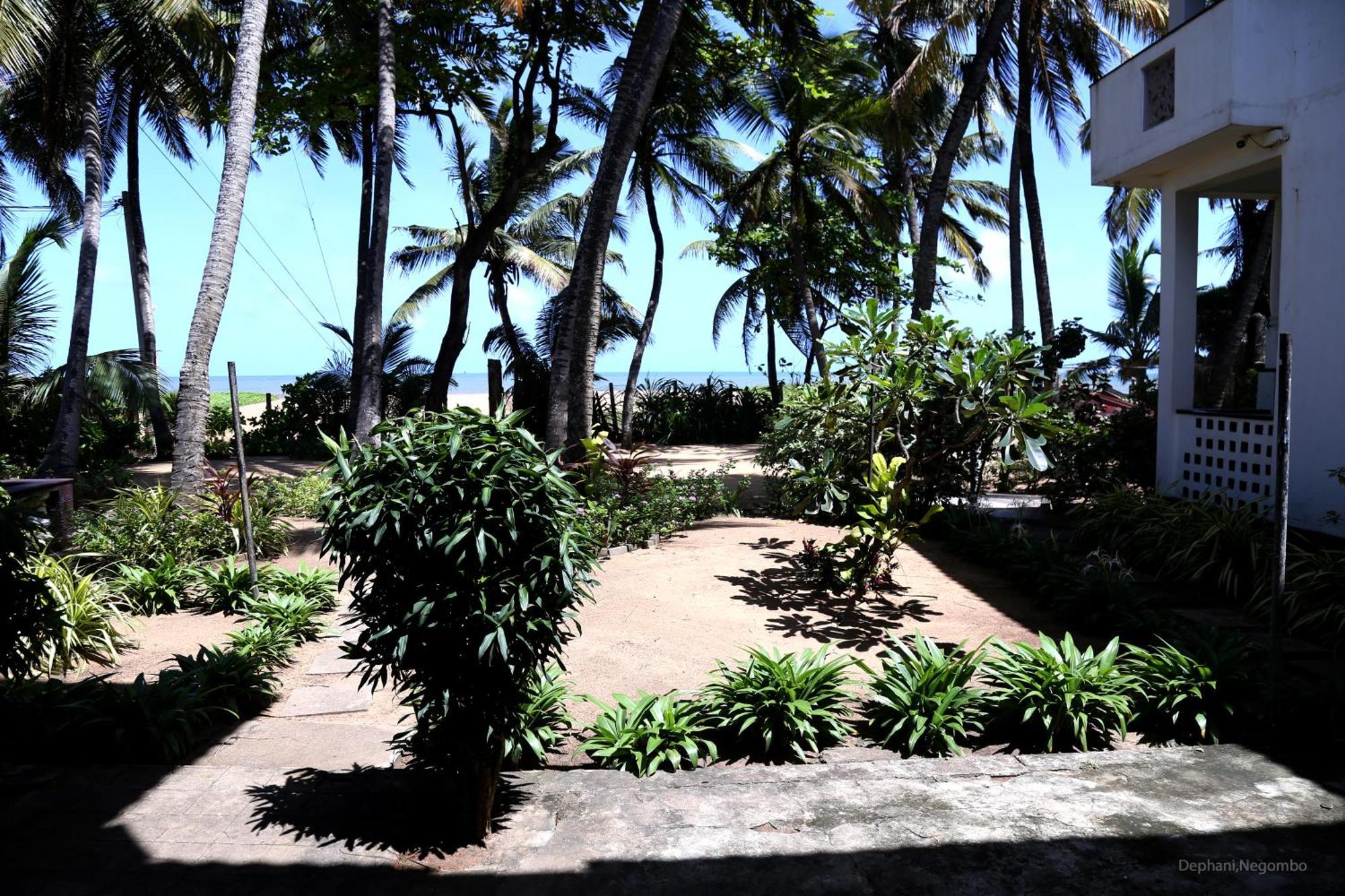 Dephani Beach Hotel Negombo Zewnętrze zdjęcie