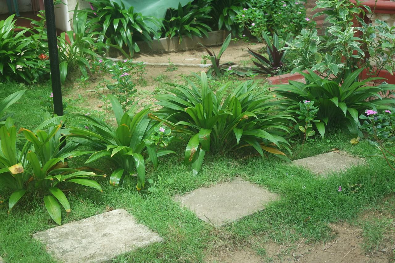 Dephani Beach Hotel Negombo Zewnętrze zdjęcie