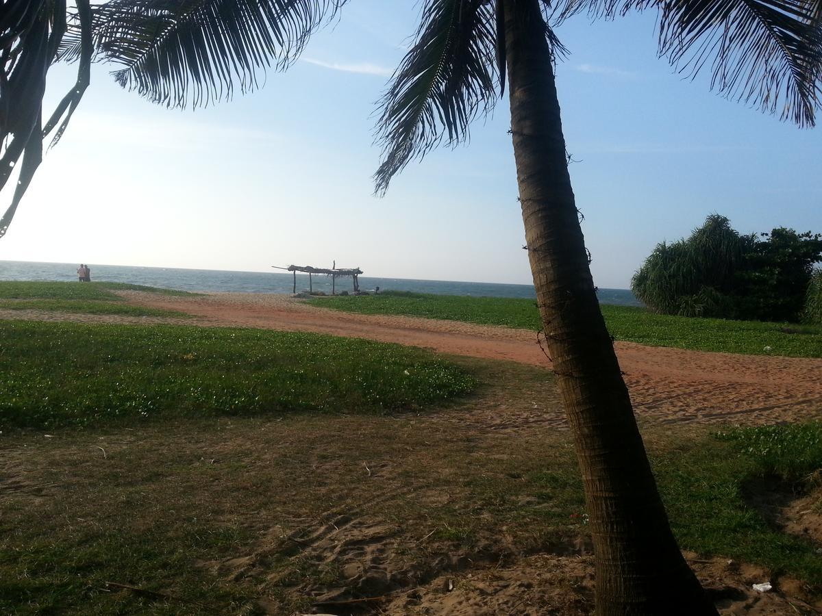 Dephani Beach Hotel Negombo Zewnętrze zdjęcie
