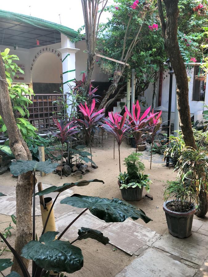 Dephani Beach Hotel Negombo Zewnętrze zdjęcie